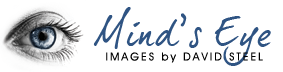 Mind's Eye | (Images by David Steel)